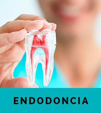 Endodoncia en Clinica Dental Sedona